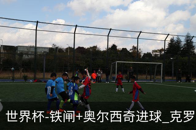 世界杯-铁闸+奥尔西奇进球 克罗地亚2-1夺季军